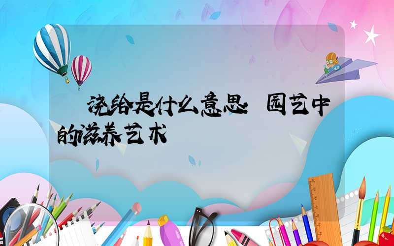  浇给是什么意思：园艺中的滋养艺术